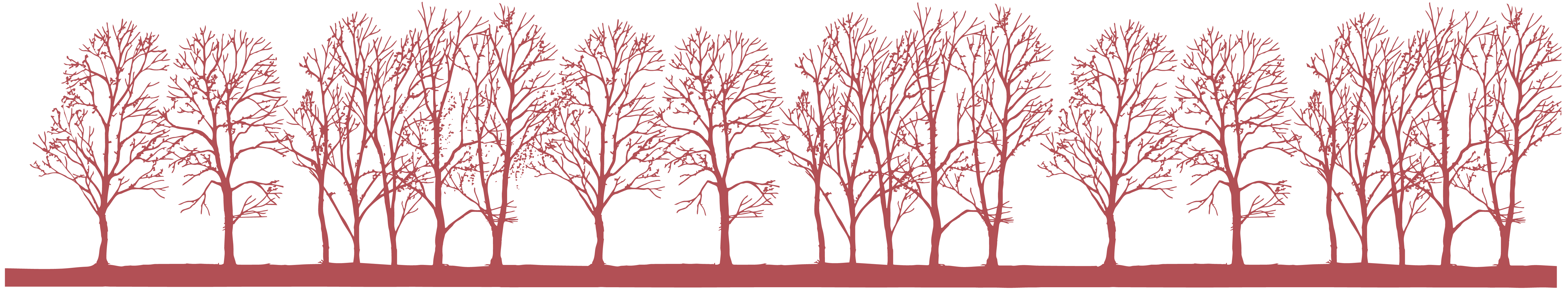 Home Image of Trees